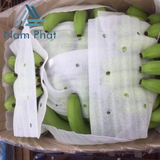 Tấm Foam Lót Chuối Xuất Khẩu