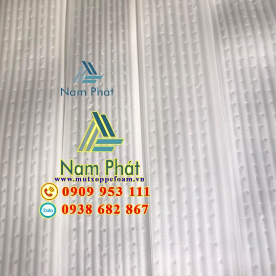 Tấm Foam Lót Xoài