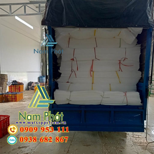 Tấm Foam Lót Xoài