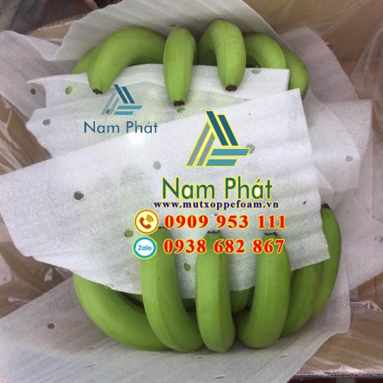 Tấm Foam Lót Chuối Xuất Khẩu
