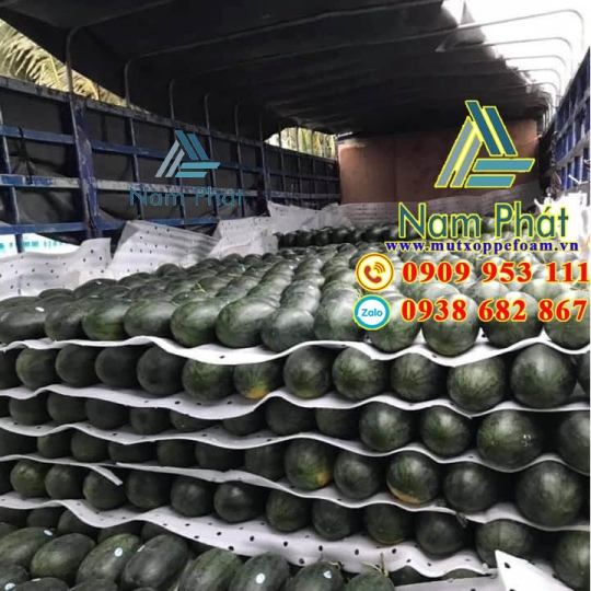 Tấm Xốp Pe Foam Đục Lỗ
