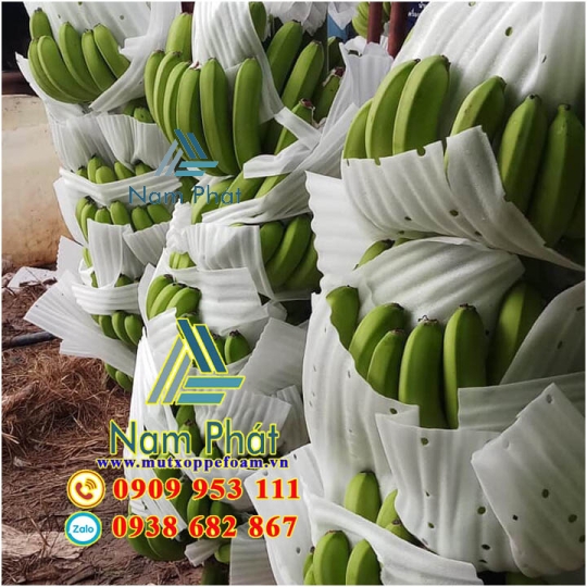 Tấm Foam Lót Chuối Xuất Khẩu