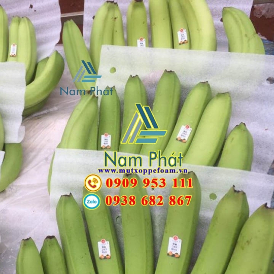 Tấm Foam Lót Chuối Xuất Khẩu